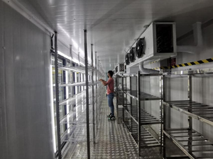 Usine de vente en gros promenade dans la cave à bière de chambre froide promenade dans la glacière avec porte en verre d'affichage - Product Image 4