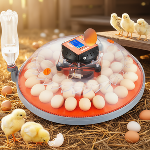 Incubateur à 48 œufs, retourneur automatique à 360°, affichage numérique, coque transparente en ABS, pour l'éclosion des œufs de poulet et de cailles - Product Image 2