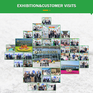 Runhuabang RHB-0901Z 4A 5A 13X Zéolite Clinoptilolite en poudre, granulométrie nm, blanche naturelle, haute pureté 99%, 25kg/sac, pour l'eau - Product Image 4