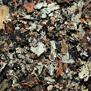 Hierba seca Kalpasi de piedra negra Natural de alta calidad para cocinar condimentos de alimentos 12 meses de vida útil hecha en la India - Product Image 1