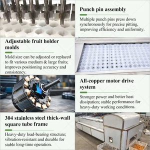 Machine à dénoyaouter les fruits : dénoyauteur <span class=keywords><strong>de</strong></span> pommes, jujubes, dattes indiennes et cerises, également adapté aux olives. - Product Image 4