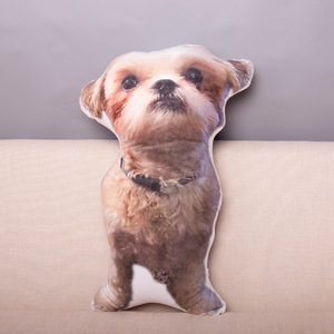 Cojín personalizado <span class=keywords><strong>de</strong></span> retrato <span class=keywords><strong>de</strong></span> Mascota <span class=keywords><strong>de</strong></span> <span class=keywords><strong>Anime</strong></span>, decoración para el hogar, <span class=keywords><strong>almohada</strong></span> <span class=keywords><strong>de</strong></span> <span class=keywords><strong>Dakimakura</strong></span> <span class=keywords><strong>de</strong></span> forma Irregular, OEM - Product Image 4