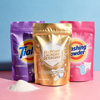 Sachet d'emballage pour lessive en poudre imprimé sur mesure 500g 1kg 2kg, pochette plastique refermable pour détergent à lessive, marque de premier plan PT