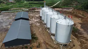 カスタマイズされた鋼粒貯蔵サイロ販売500-10000トントウモロコシ小麦水田米サイロ価格鋼サイロターンキープロジェクト