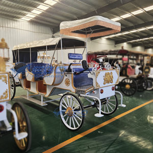 2025 Carrosse de chevaux en bois bleu simple pour mariages et visites touristiques / Carrosse de mariages et de visites touristiques / Carrosse de visites touristiques classique à vendre - Product Image 5