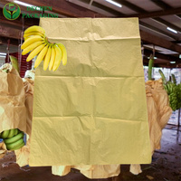 Dragon Fruit Cover Mango Bescherming Zak Fruit Beschermende Papieren Zak