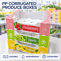 Vouwbare PP golfkartonnen doos op maat en met opdruk voor transport en presentatie van vers fruit