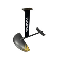 Hydrofoil en fibre de carbone intégrale TOURUS Design, foil en carbone, efoil, foil de windsurf pour mât d'hydrofoil