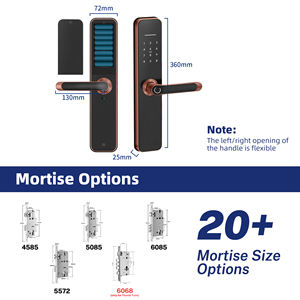 Liliwise-cerradura impermeable para entrada al aire libre, dispositivo de cierre inteligente con huella dactilar, para <span class=keywords><strong>Airbnb</strong></span>, Condo, proyecto de apartamento - Product Image 5