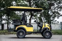 Voiturette de golf électrique 1-2 places, moteur 3,5 kW, 48 V, certifiée CE et EEC, style moderne et luxueux, confortable et sûre