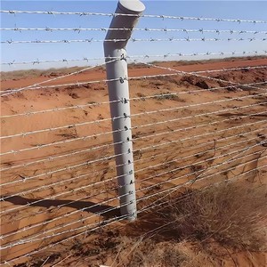 Alambre de Púas Galvanizado en Caliente, Rollos de 100m y 150m, Alambre de Cercado Resistente a la Corrosión, Barrera de Seguridad para Granjas y Construcción - Product Image 3