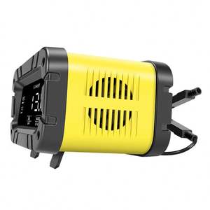 Cargador <span class=keywords><strong>de</strong></span> batería <span class=keywords><strong>de</strong></span> <span class=keywords><strong>coche</strong></span> eléctrico DC 10A 12V 24V 20 Amp baterías <span class=keywords><strong>de</strong></span> plomo ácido cargador <span class=keywords><strong>de</strong></span> batería <span class=keywords><strong>de</strong></span> litio Lifepo4 con buen precio - Product Image 5