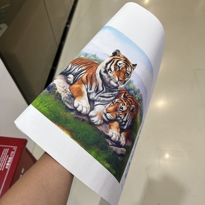 Baking Paper Chopstick Packaging 420mm CMYK Roll to Roll Digital Printing Machine for Paper Label Single Pass High Speed Printer