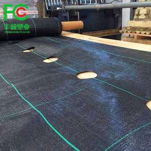 Tissu de protection de couverture de <span class=keywords><strong>sol</strong></span> de tapis anti-mauvaises herbes de <span class=keywords><strong>grille</strong></span> noire tissée de pp - Product Image 2