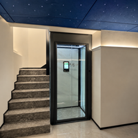 Ascenseur Domestique Intelligent Moderne de Qualité Supérieure à Prix Usine, Excellent Rapport Qualité-Prix, pour 2 à 5 Personnes, Idéal pour Villa, Appartement, Loft, 1, 2 ou 3 Étages