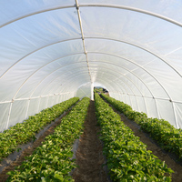 Film de serre en tissu tissé HDPE, matériau en polyéthylène transparent, résistant aux déchirures, imperméable, 130 g/m², 150 g/m², 185 g/m²