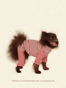 Roupas para Cães Pequenos e Greyhounds, Novo Modelo Fofo de Algodão para Primavera, Camisetas de Manga Longa |   Roupas Personalizadas de Alta Qualidade por Atacado - Product Image 4