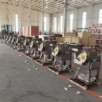 Nieuwe multifunctionele commerciële elektrische fruit- en groentesnijmachine, motor-aangedreven groentesnijder voor het snijden van reepjes, blokjes en plakjes