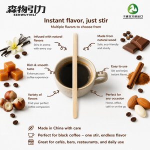 Agitateurs à café aromatisés avec une variété de saveurs populaires pour créer vos propres lattes aromatisés faits maison. - Product Image 4
