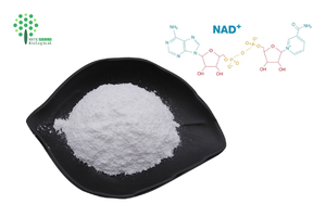 Poudre de NAD+ de qualité alimentaire, <span class=keywords><strong>Beta</strong></span> Nicotinamide Adénine Dinucléotide, 99%, en vrac, CAS 53-84-9 - Product Image 3