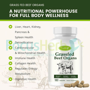 FocusHerb Complexe d'organes de bœuf naturels de haute qualité en capsules, nourris à l'herbe : Foie, Cœur, Pancréas, Reins, Poumon, Rate, Moelle osseuse - Product Image 4