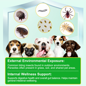 Oimmal Oem Complément Alimentaire Naturel pour Animaux de Compagnie, Friandises à Mâcher <span class=keywords><strong>Anti</strong></span>-<span class=keywords><strong>Puces</strong></span> <span class=keywords><strong>et</strong></span> <span class=keywords><strong>Tiques</strong></span> pour Chiens, Levure de Bière, Vitamines B12 B6, Soin de la Peau - Product Image 3