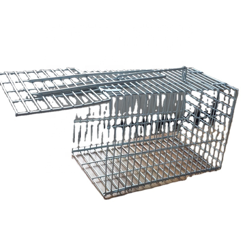 Cage métallique de capture pour animaux, fil métallique en maille, souris, rat