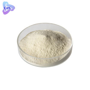 Fornitura di fabbrica perdere peso solubile in acqua Garcinia Cambogia estratto CAS 6205-14-7 acido idrossicitrico in polvere 50% 60% 70% HCA - Product Image 1