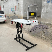 Carretilla Elevadora Eléctrica Plegable con Carga/Descarga Automática, Capacidad de Carga de 300 kg, Construcción Metálica, OEM Disponible