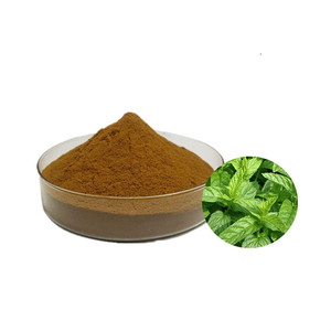 Extracto de plantas Mentha <span class=keywords><strong>Viridis</strong></span>, extracto en polvo de Mentha <span class=keywords><strong>Viridis</strong></span>, venta Global - Product Image 1