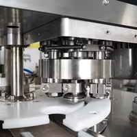 Ligne de remplissage automatique de boîtes de lait en poudre pour bébé Machine de remplissage de bouteilles de café en poudre Churro