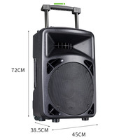 BS515DSP Haut-parleur portable en plastique de 15 pouces 120W avec aimant néodyme et 16 effets DSP, alimenté par batterie, pour MP3, idéal pour les fêtes en extérieur et les mariages