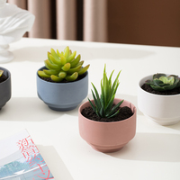 Pot de fleurs en porcelaine moderne nordique pour salon, pot de plante succulente en céramique unique, application domestique