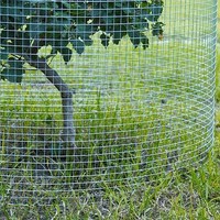 Clôture de jardin en grillage soudé avec mailles carrées de 50x75mm, galvanisé, services de découpe et de pliage
