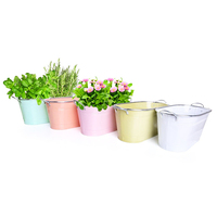 Couleur baignoire fleurs jardinières Pot avec poignée pour jardin fournisseurs accessoires ovale fer métal Pot de fleur