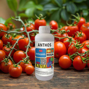 בתחילת העונה עגבניות אורגניות ועגבניות שרי במהירות צבע משתנה במצב נוזלי זמין כעת - Product Image 5