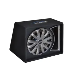 Dibeisi Aangepaste 600Watt 12 Inch Subs Met Doos En Amp Subwoofer 8 Inch Auto Audio Actieve Doos