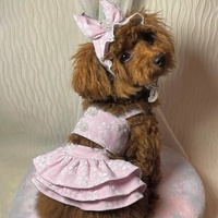 Robe Jacquard Princesse pour Animaux de Compagnie Printemps-Été avec Ensemble Chapeau pour Chiens et Chats – Tenue Florale Adorable