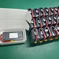 RCPOWX 350 Вт·ч/кг 12S 14S 51.8В 33000 мА·ч Аккумулятор с максимальной емкостью, твердотельный, в мягком корпусе, с катодом LiCoO2, 800 циклов, для сверхтяжелых БПЛА