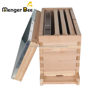 Nueva Caja de Abejas de Madera de 5 Cuadros Tipo Nuc para Apicultura - Equipo de Apicultura - Product Image 1