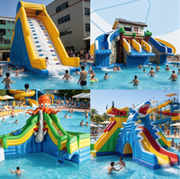Parc aquatique gonflable commercial extérieur pour enfants avec toboggan et piscine, thèmes Pieuvre, Éléphant, Poisson, Dinosaure, Château, Baie, Fleur, pour la location