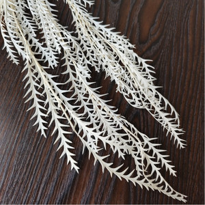 Flor de hoja de diente de sable eterno preservada para decoración del hogar y ramos de boda para arreglos florales domésticos - Product Image 3