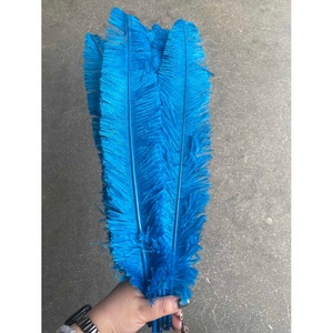 Plumas de Avestruz <span class=keywords><strong>Nandu</strong></span> Teñidas de Azul de 50 cm para Decoración de Jarrones, Manualidades, Sombreros, Sombrerería y Tocados para Fiestas, Hogar y Bodas - Product Image 3