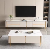 Ensemble de table basse et de meuble TV en marbre brillant moderne, ventes chaudes pour un usage domestique, meubles en bois et en fer pour le salon extérieur