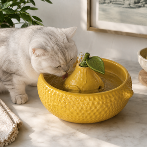 Fontaine à <span class=keywords><strong>eau</strong></span> automatique en céramique en forme de poire pour animaux de compagnie, <span class=keywords><strong>distributeur</strong></span> d'<span class=keywords><strong>eau</strong></span> électrique OEM pour chats et chiens avec filtre et pompe pour une <span class=keywords><strong>eau</strong></span> fraîche - Product Image 1