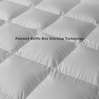 Couette matelassée d'été confortable taille Queen, 95% duvet d'oie, tissu en coton respirant et rafraîchissant, stérilisée, sans odeur, traceable