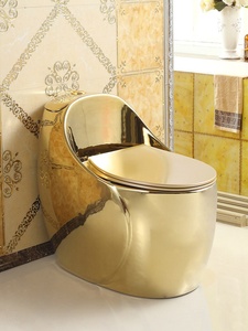 Siphon de <span class=keywords><strong>toilette</strong></span> en PVC de style européen en forme <span class=keywords><strong>d</strong></span>'œuf doré, à chasse <span class=keywords><strong>d</strong></span>'<span class=keywords><strong>eau</strong></span> colorée, design compact pour petits espaces, économiseur <span class=keywords><strong>d</strong></span>'<span class=keywords><strong>eau</strong></span> - Product Image 3