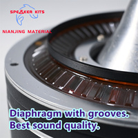 Haut-parleur de ligne acoustique à compression 5 pouces 125 mm à double bobine 800 W*2, aimant en néodyme, accessoires pour haut-parleur
