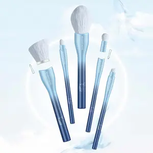 Interchangeable Brush 5Pcs Make Up Brushes Custom Luxury High Quality Private Label Cosmetic Brush Set