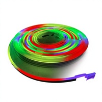 Ruban LED néon RGB adressable ultra-fin 4x8mm, DC5V, indice de protection IP67, dimmable, en silicone pur